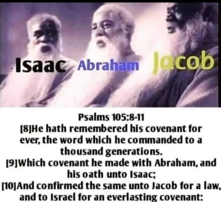 ABRAHAM AND THE SONS OF GOD LINEAGE - ANIMA Framework