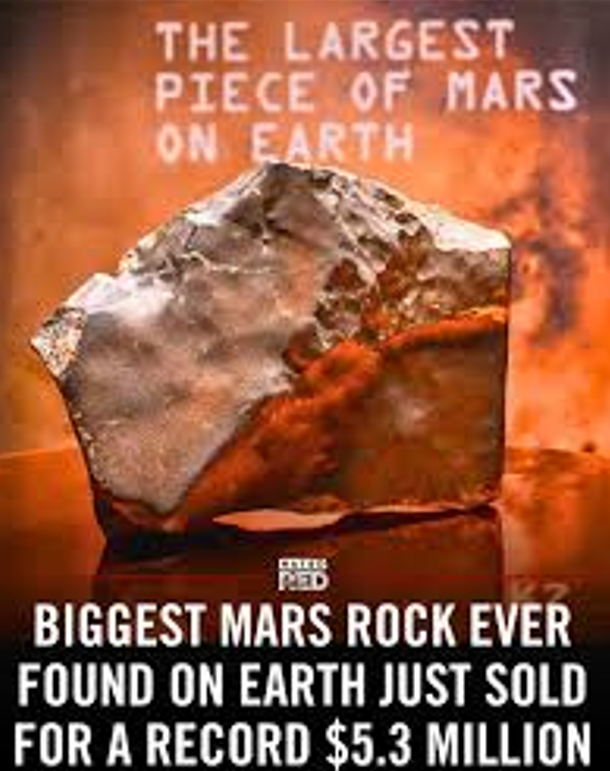 $5.3 Million for a Fake Mars Rock? - ANIMA Framework